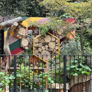 Making Life Better with Bees